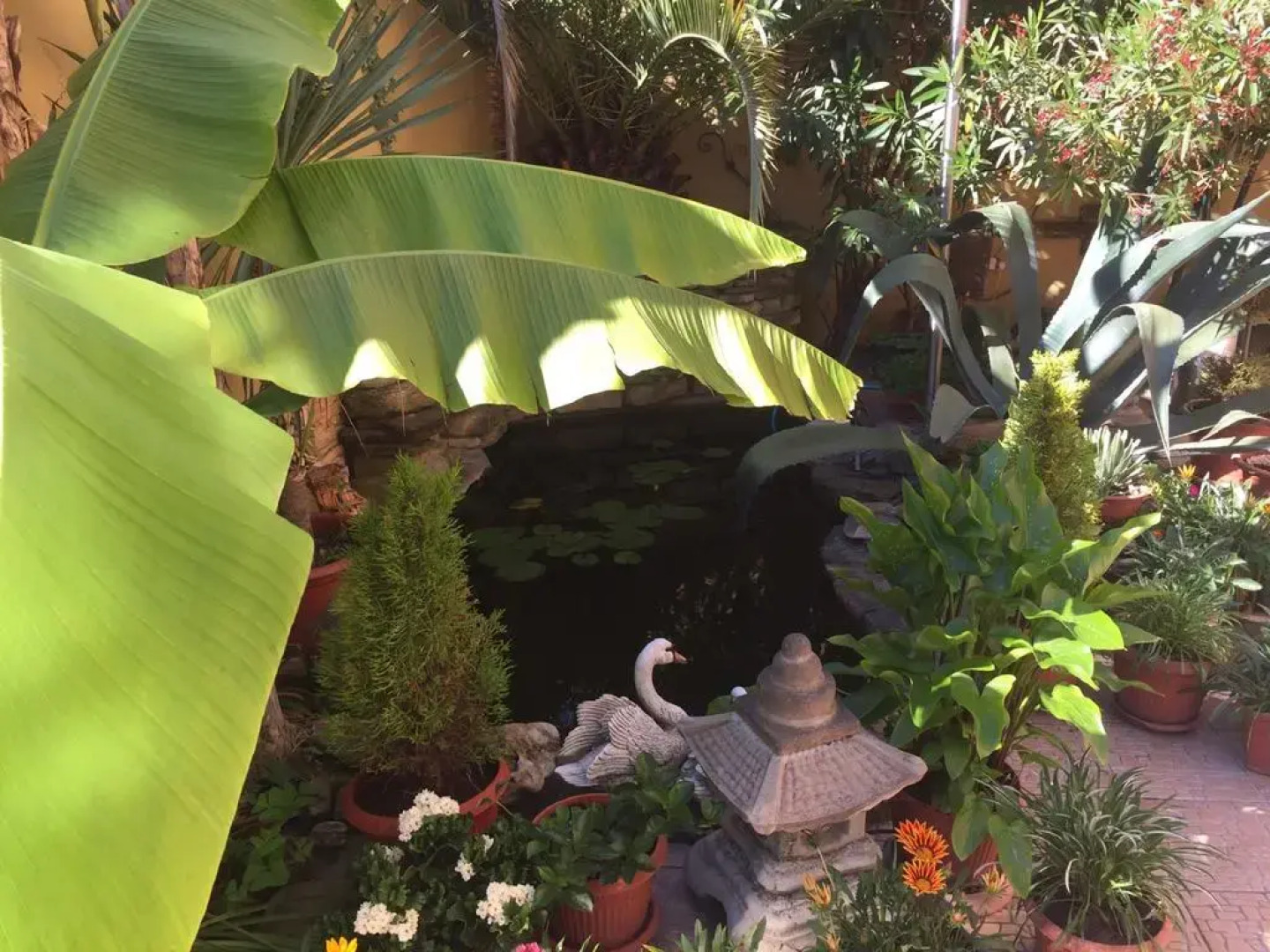 Гостевой дом Адениум585