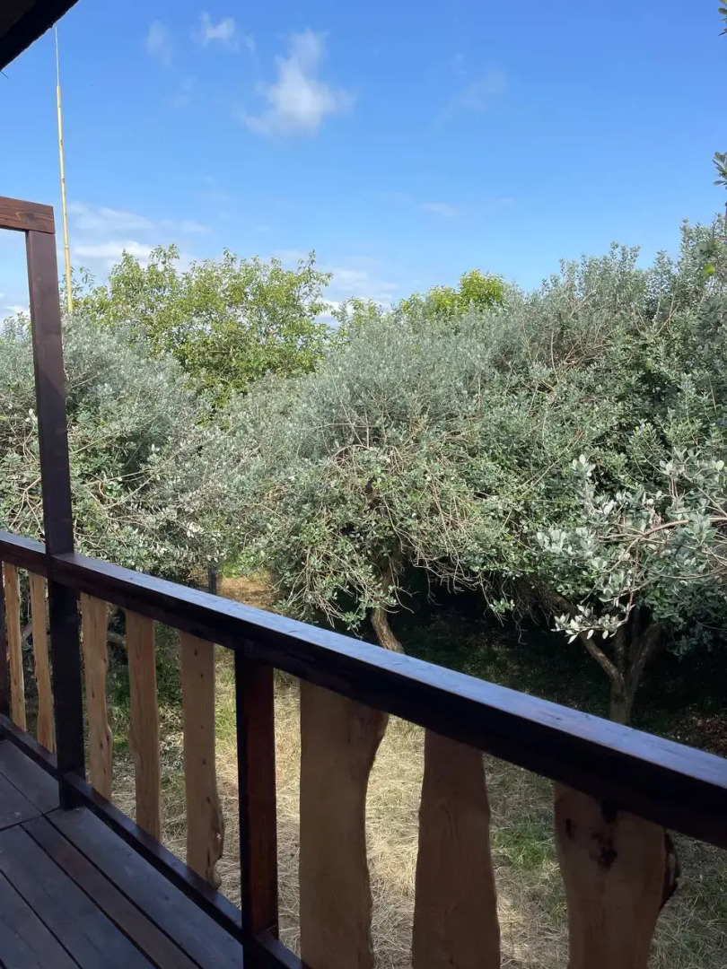 Бунгало Wood Garden