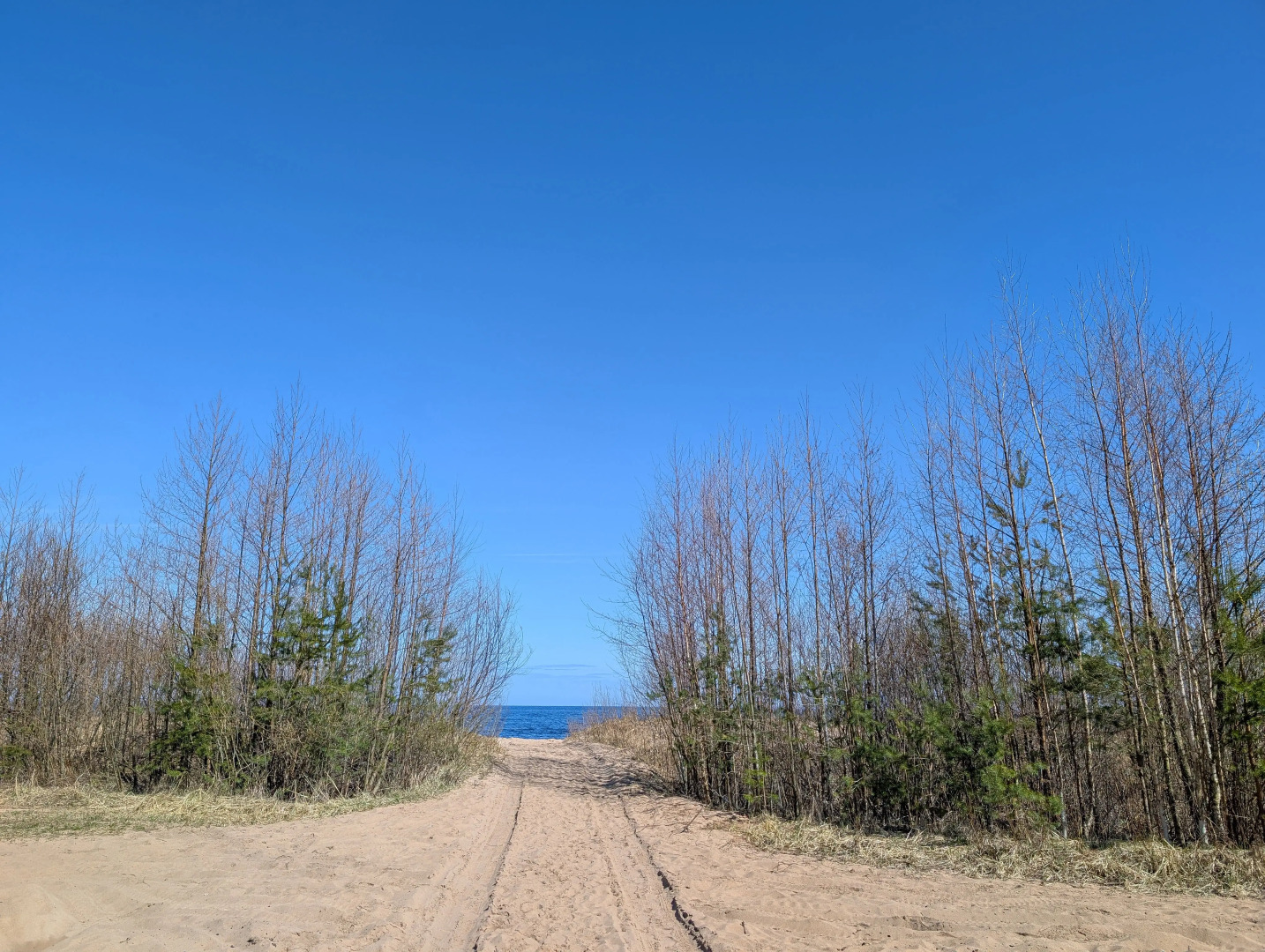 Гостевой дом Большой Гостевой дом на Ладожском озере