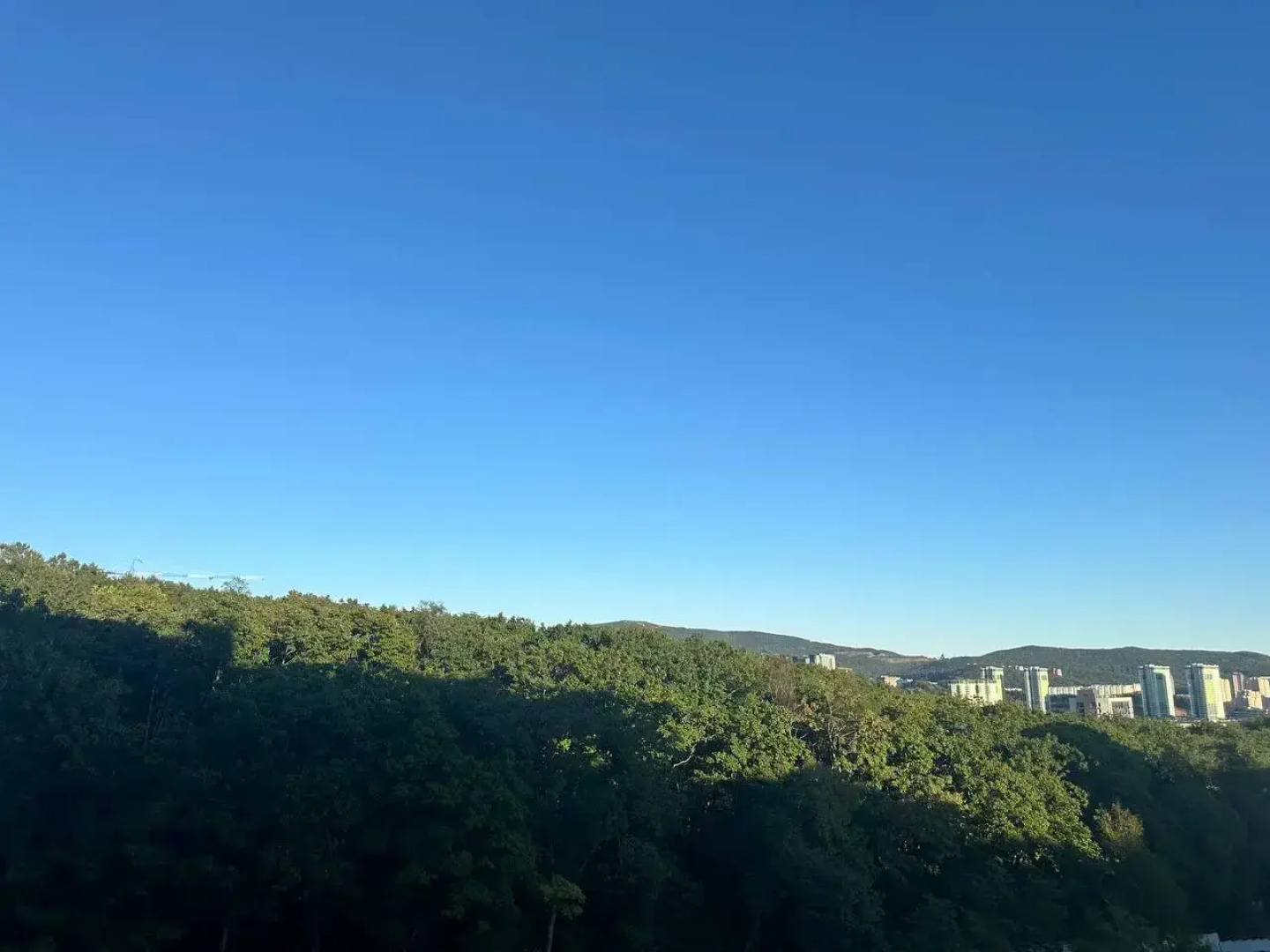 Апартаменты Уютная студия в экологичном районе города