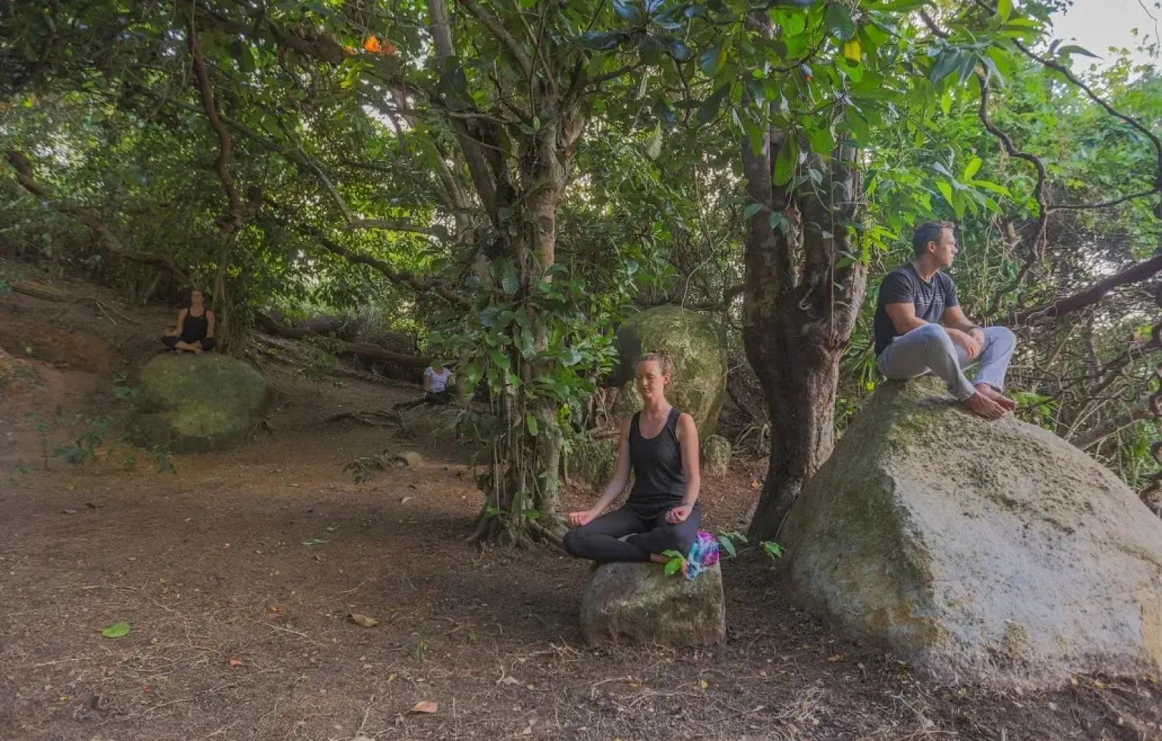 Отель Roman Lake Ayurveda Resort