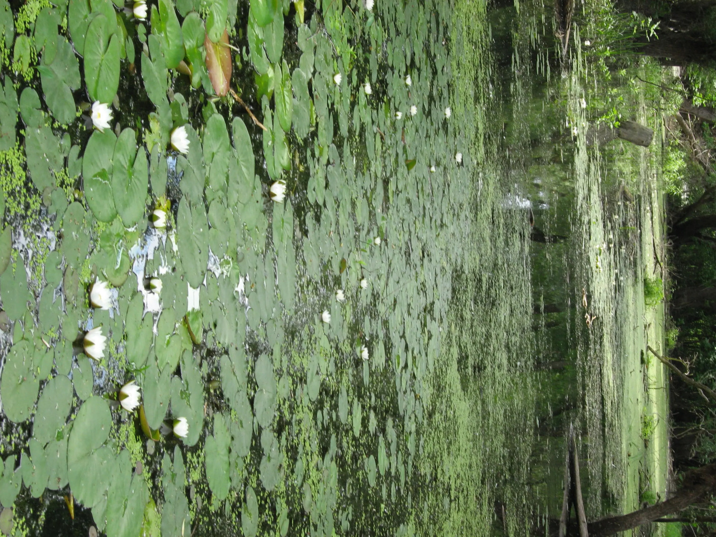 База Отдыха Культурно-оздоровительный центр "Касатка"