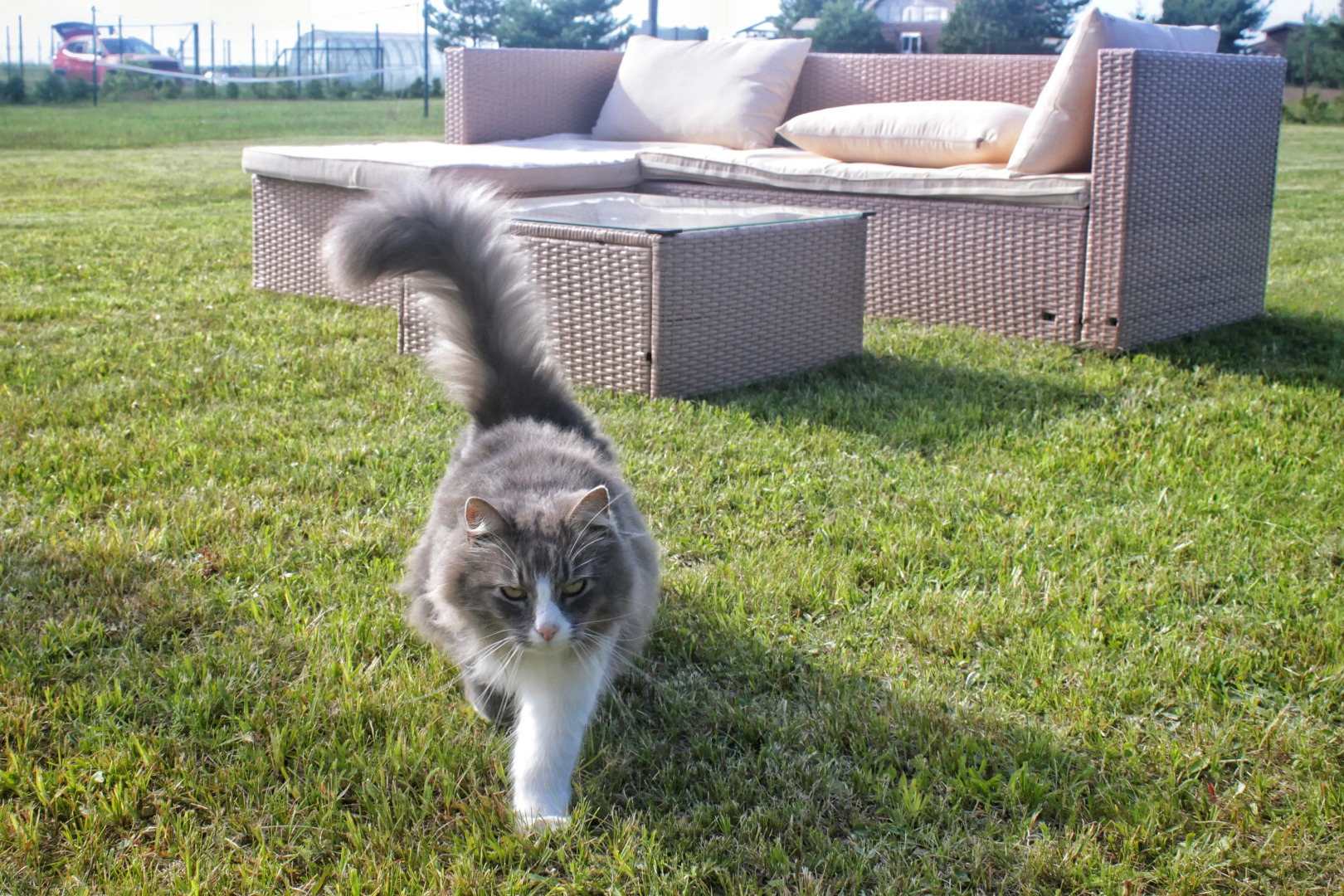 Частный дом Семейное эко-пространство Домик у моря