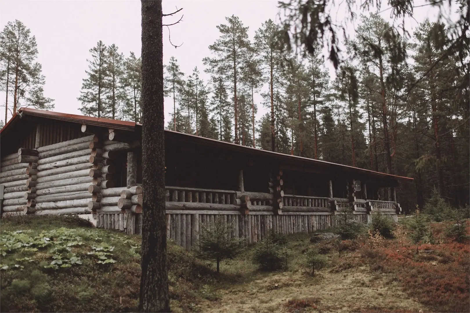 Апартаменты Медвежка в Карелии