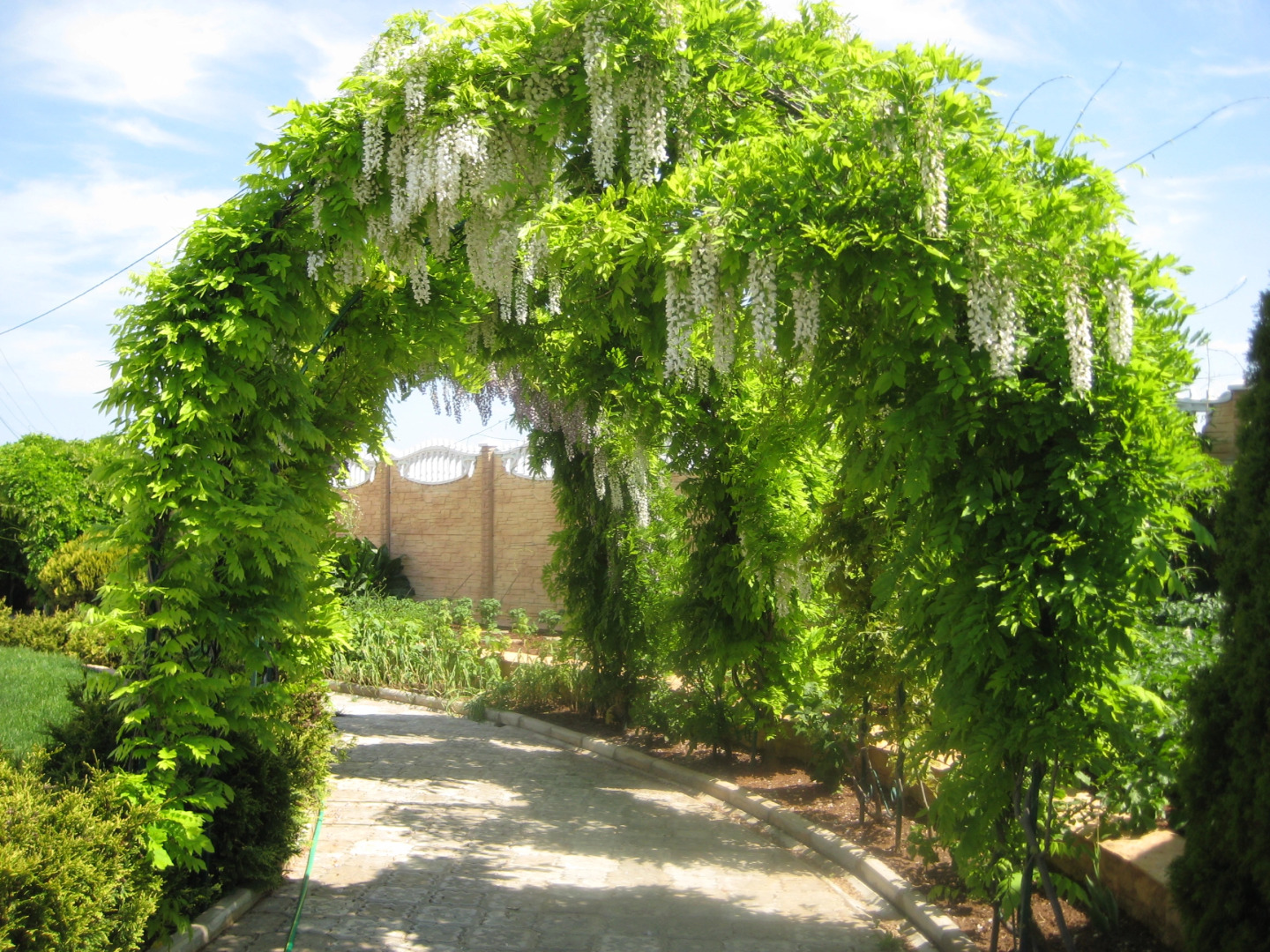 Гостевой Дом Владисвет