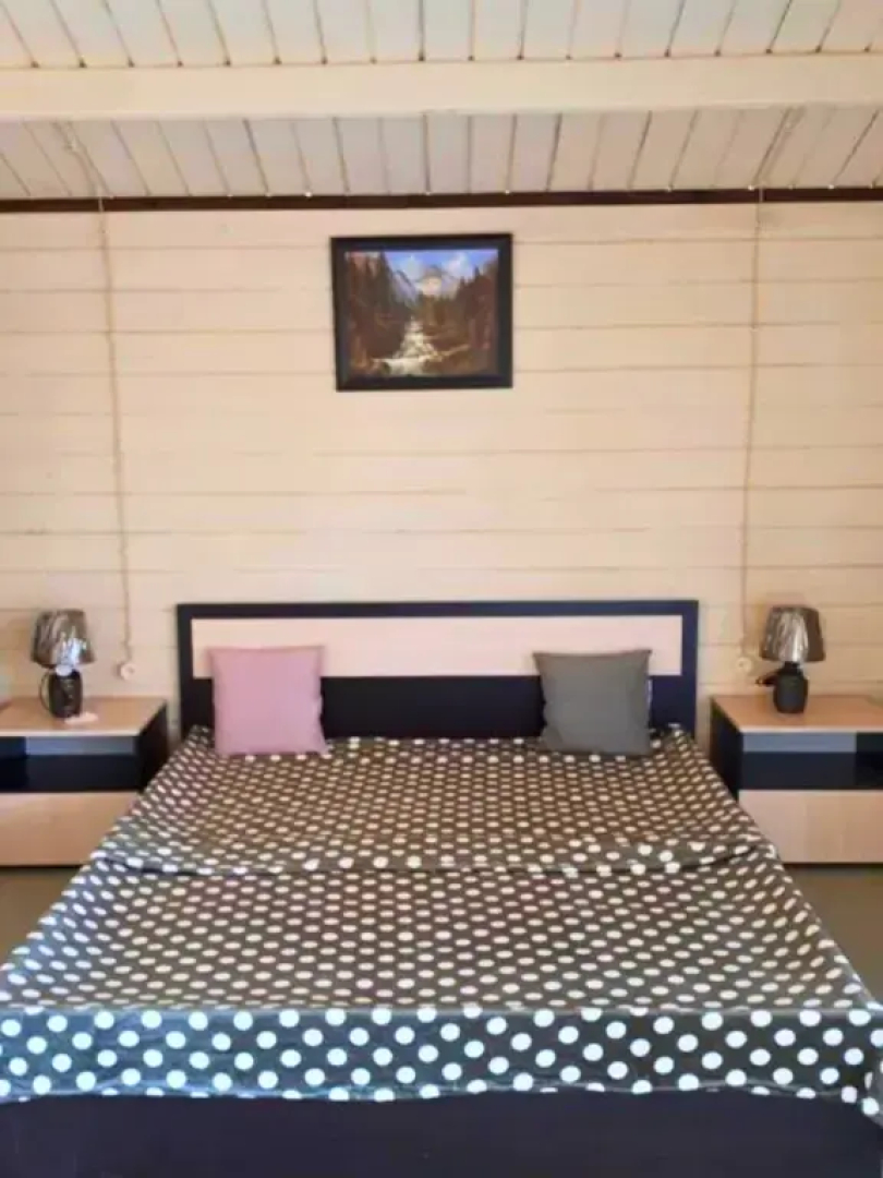 Частный дом Домики у Лизы