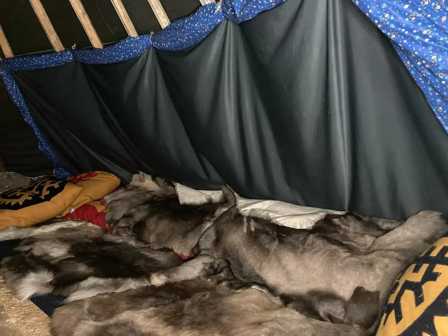 Кемпинг Sava Syo