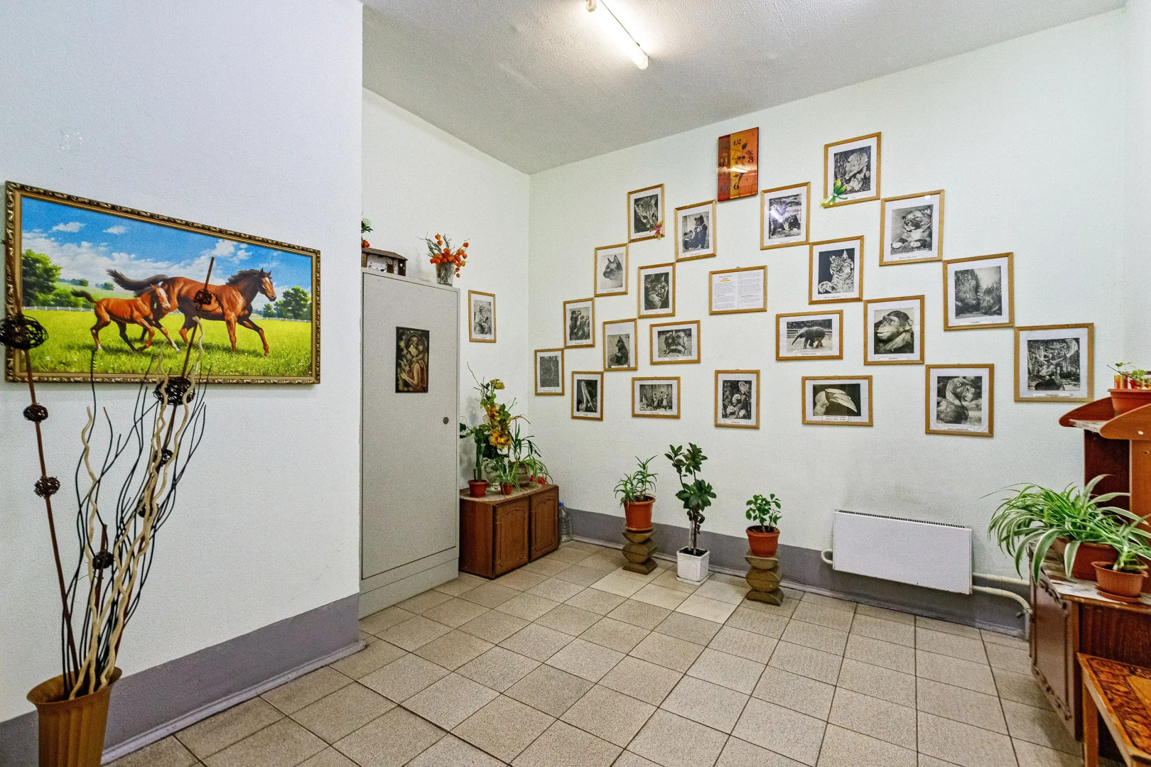 Апартаменты Люкс