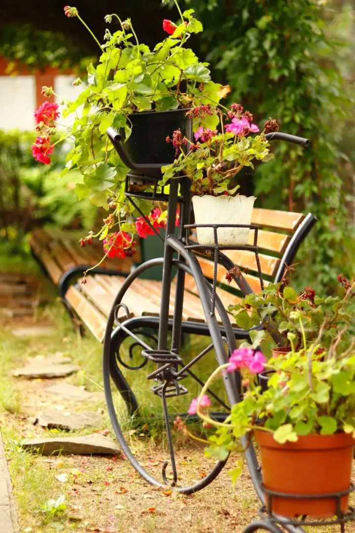 Ваша Гавань