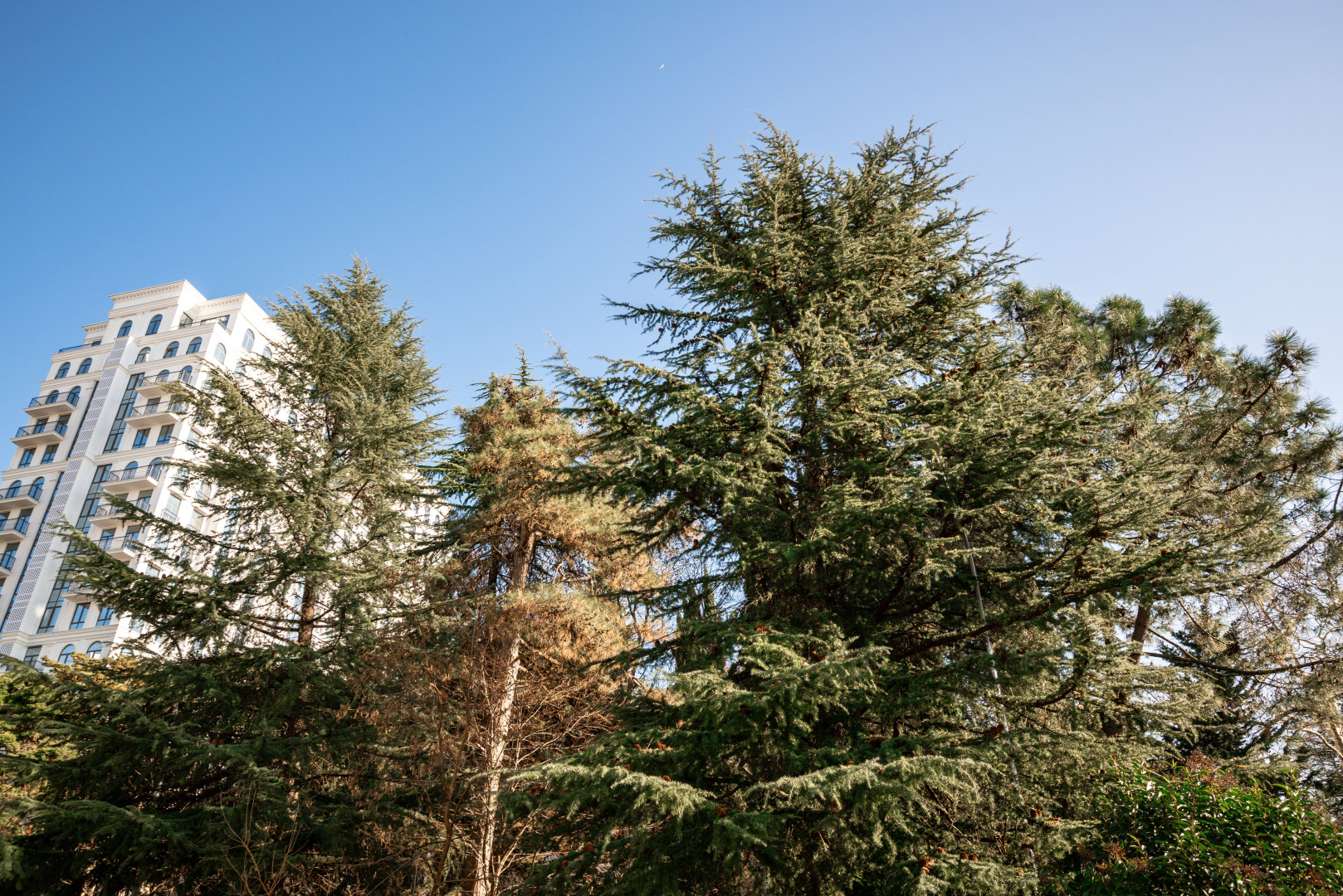 Апартаменты Место под солнцем 3