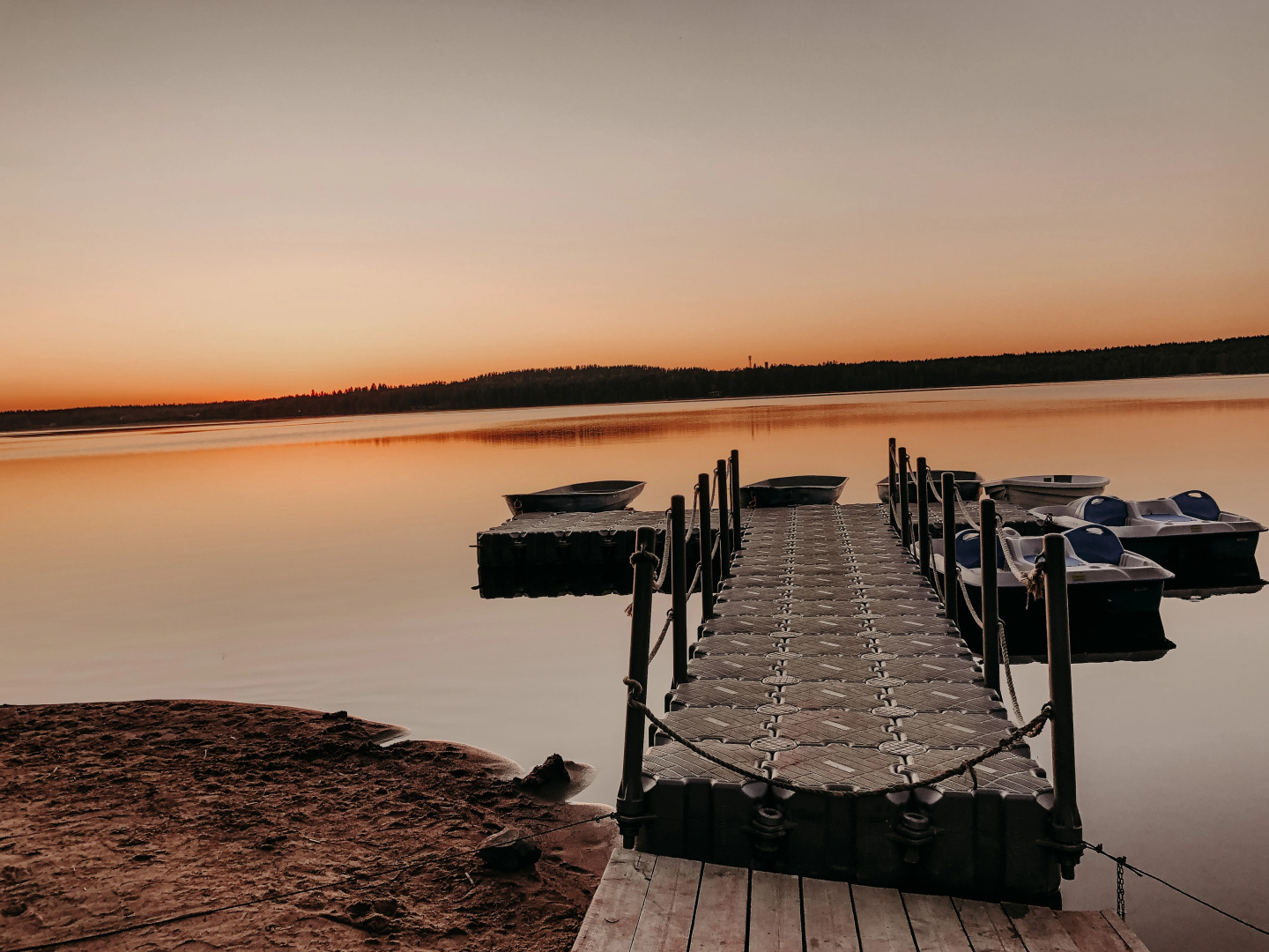 Гостиница Лесная Рапсодия