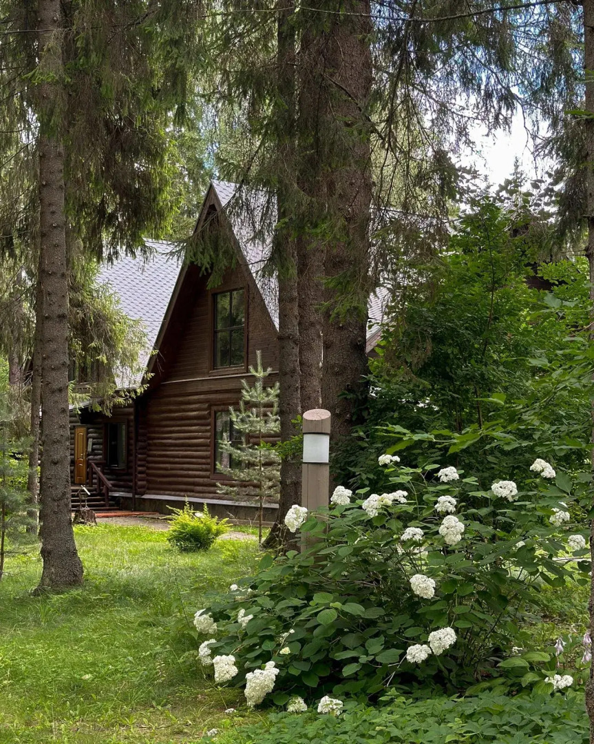 Отель Эко Романов Лес