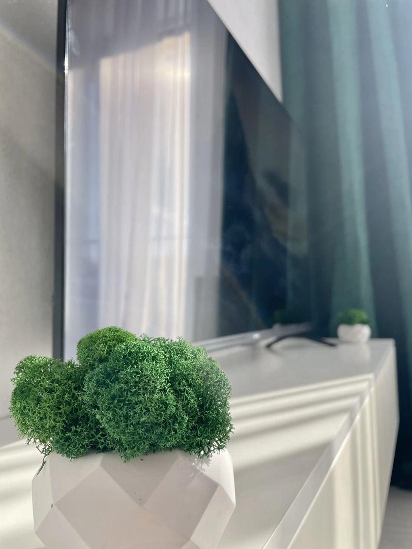 Апартаменты у Моря Александра Кранц