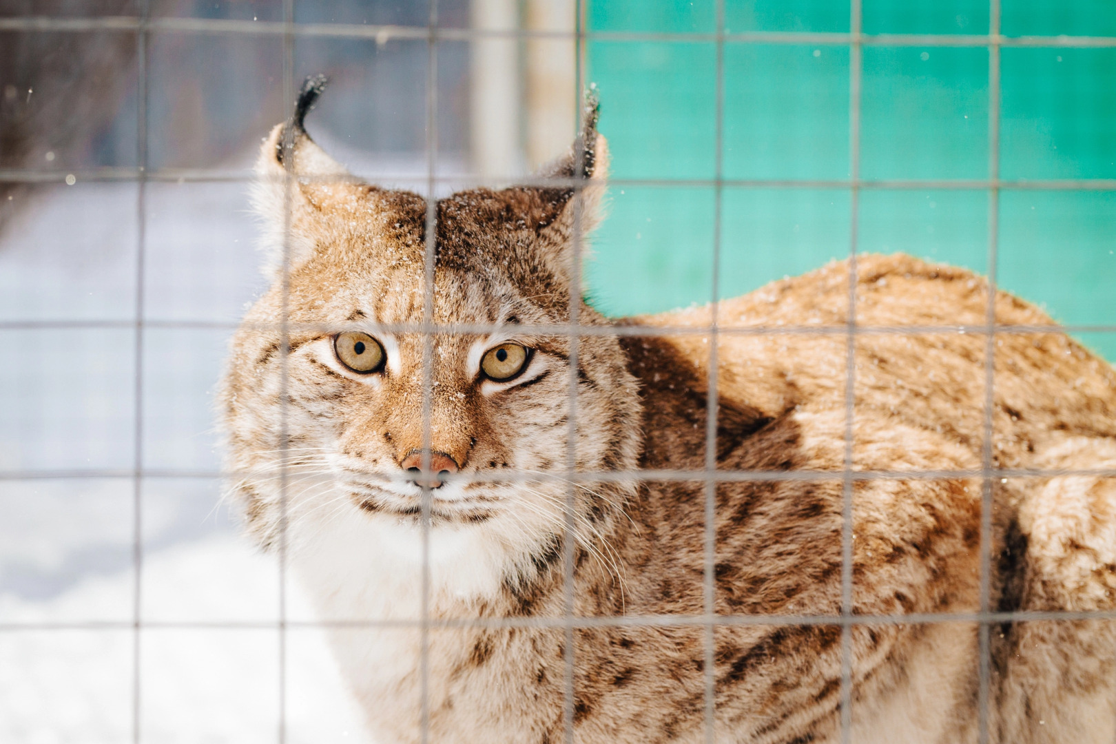База отдыха Агротуристический комплекс Эль Ранчо