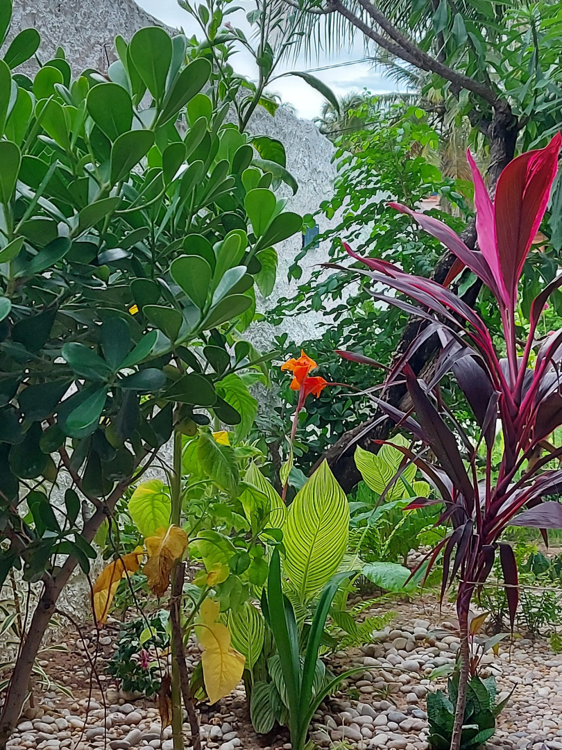 Мини-Отель  Pousada Brisa Del Mar