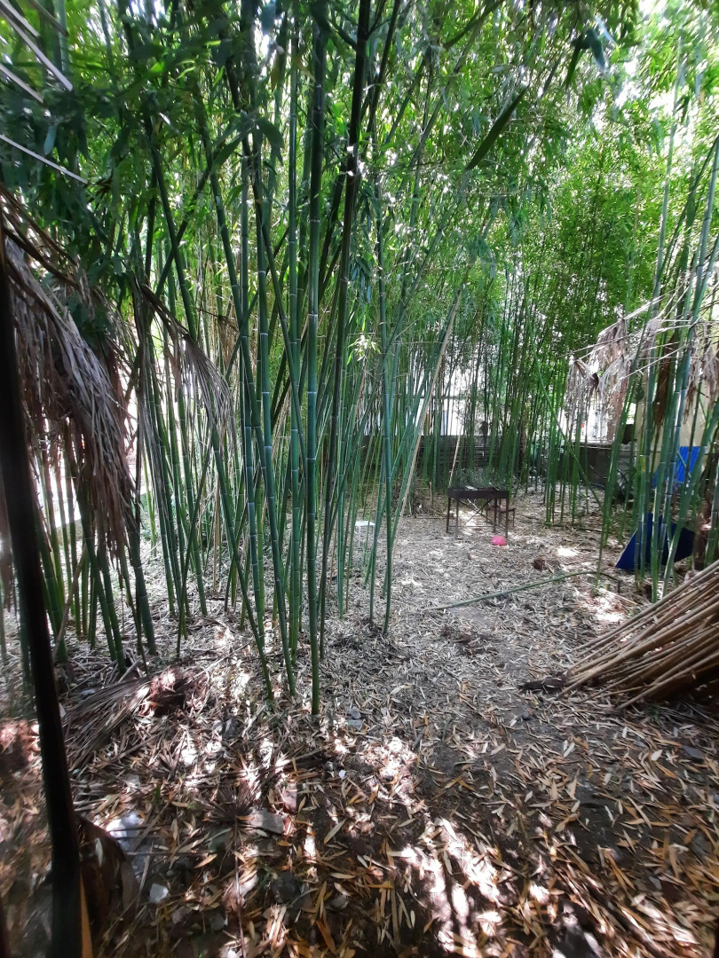 Жилое помещение Bamboo Garden