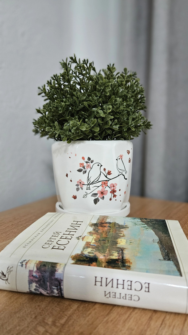 Квартира в Петропавловске-Камчатском