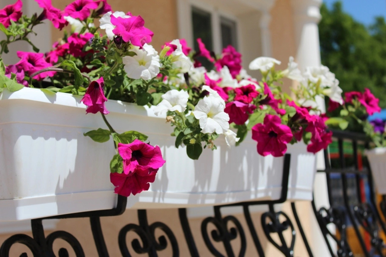 Отель Экватор