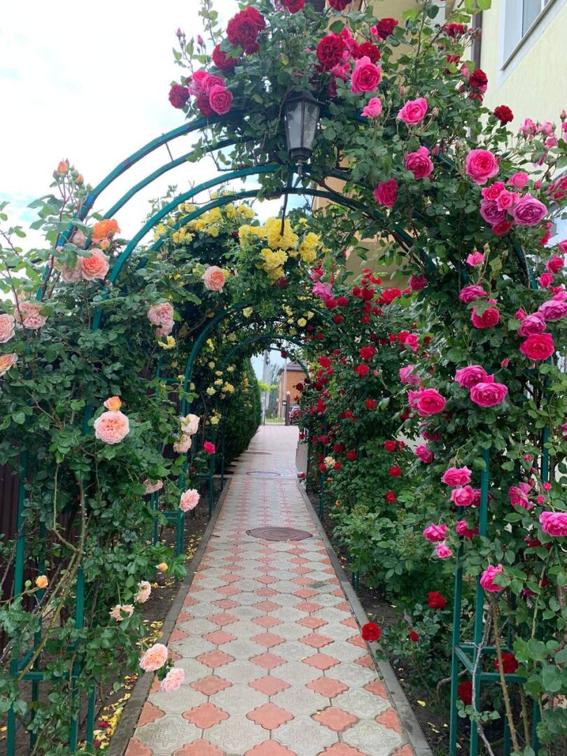 Гостевой дом Пенаты