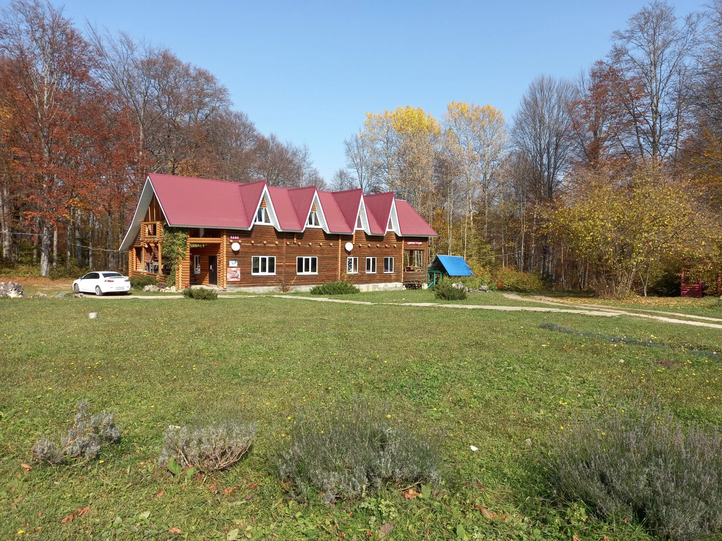 Звездная Долина