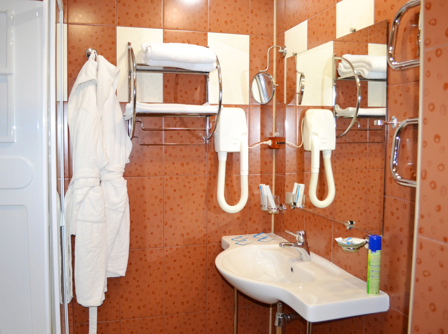 Отель Парк-отель Мечта