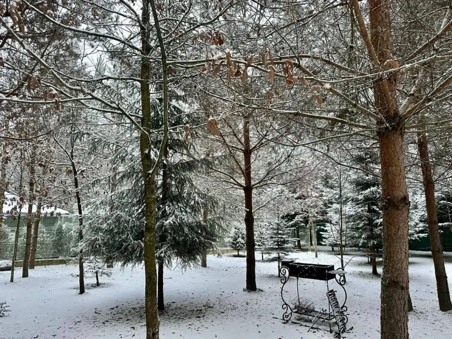 Частный дом Премиальный семейный дом в сосновом лесу