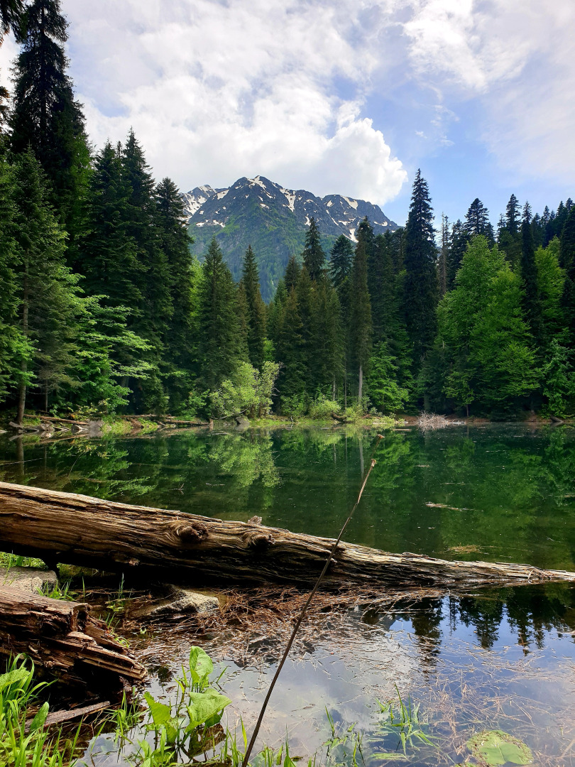 Апартаменты Санчаро