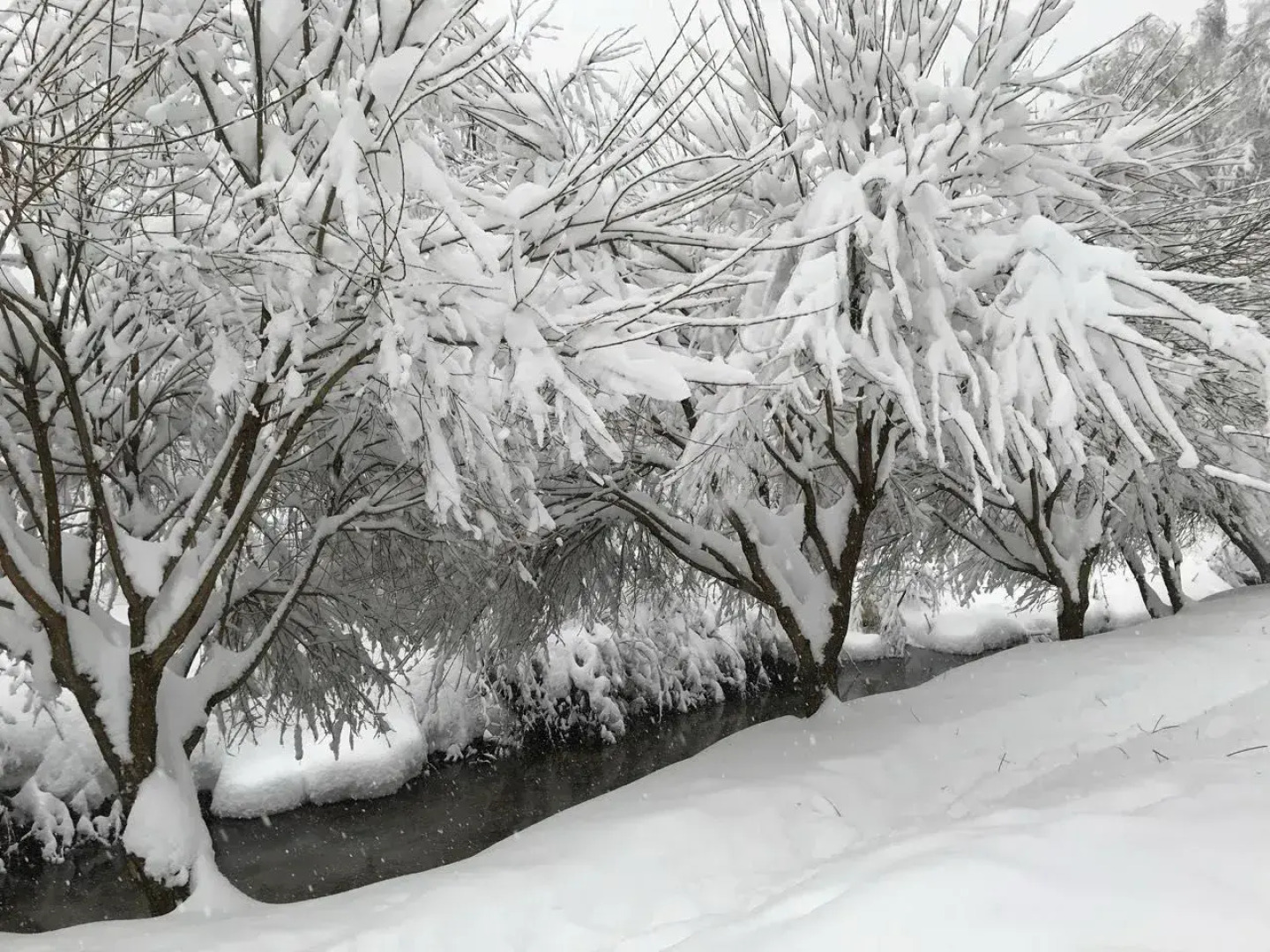 Частный дом в Заветах Ильича с голубой гостиной