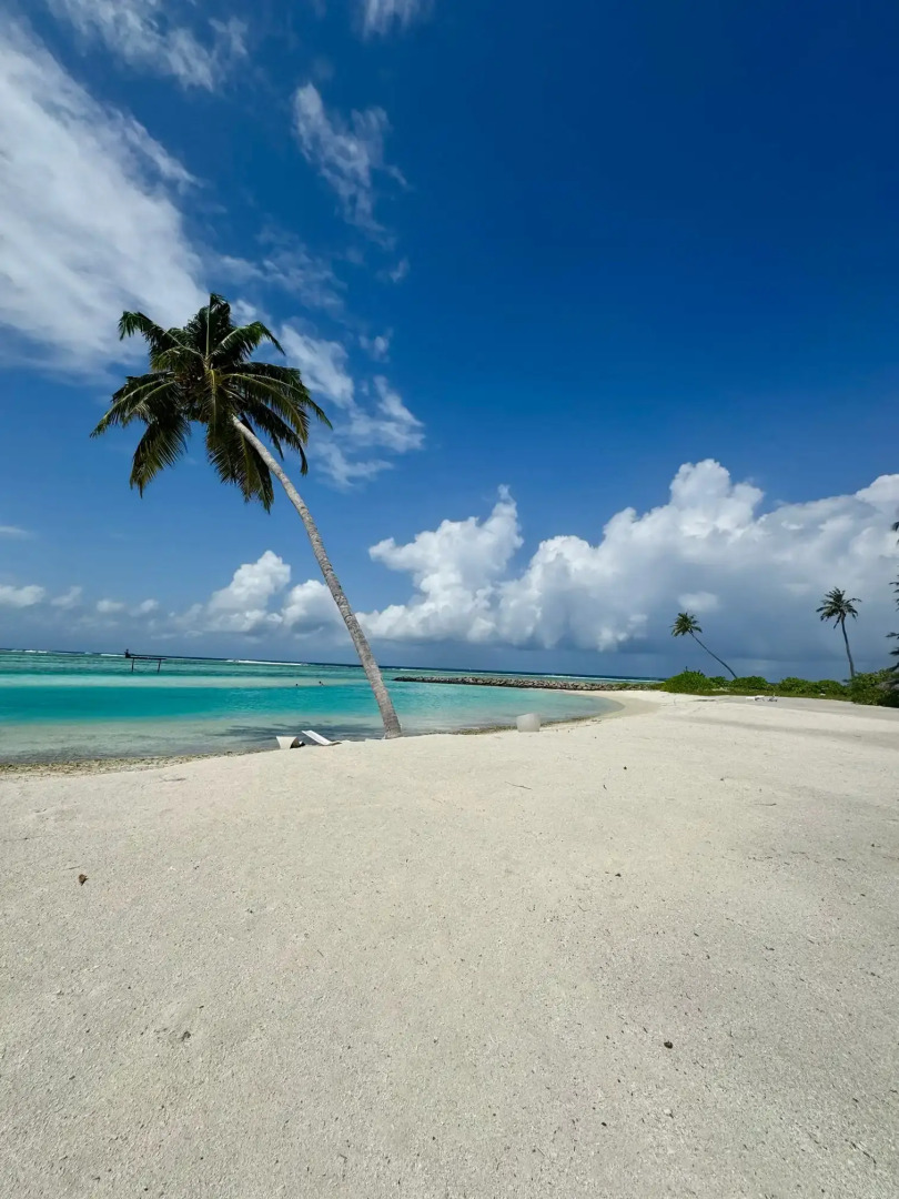 Гостевой дом Navaya Dhiffushi