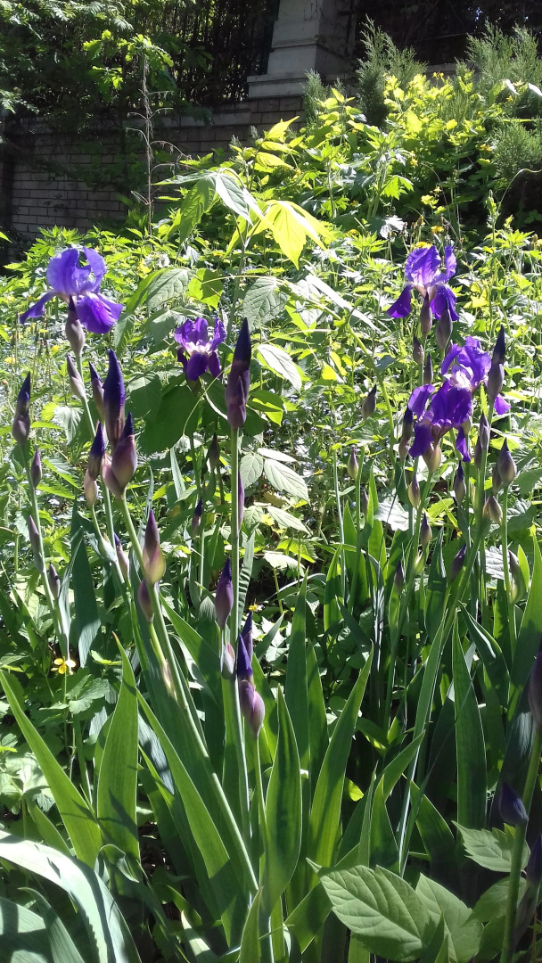 Гостиница У Домика Петра