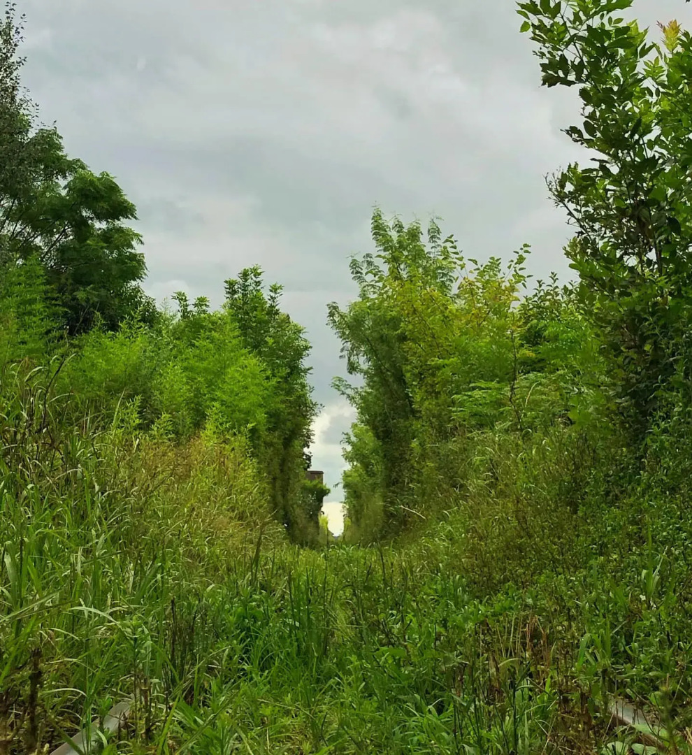 Бутик-Отель Estancia El Cencerro