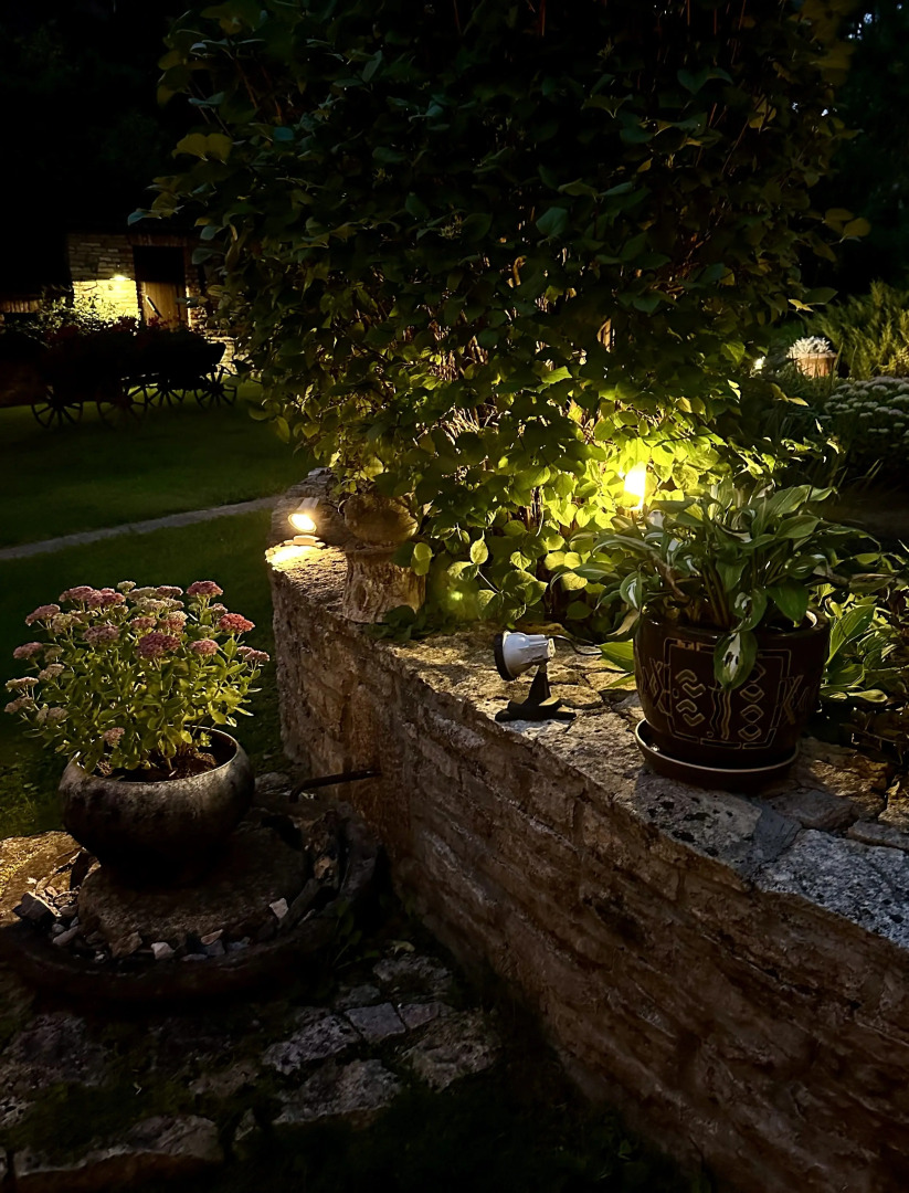 Гостевой дом Форест грин