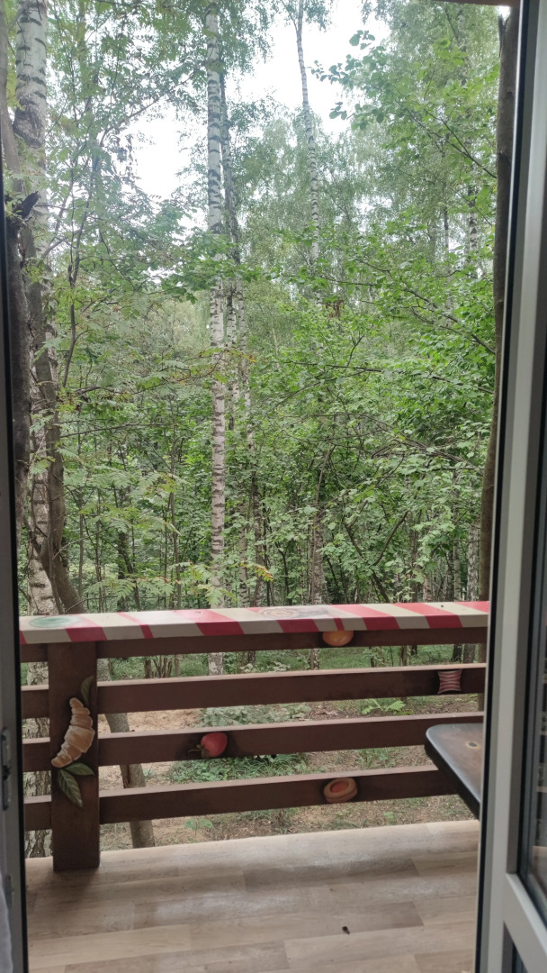 Частный дом Пряня