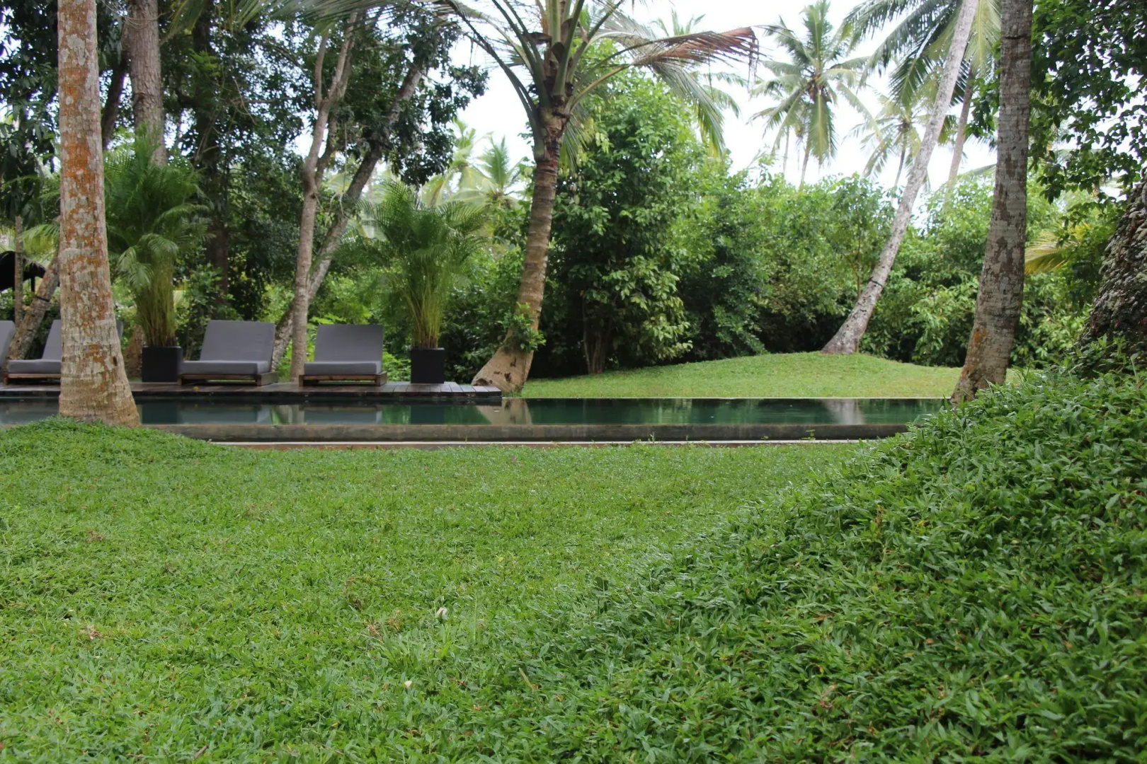Отель Kaju Green Eco Lodges
