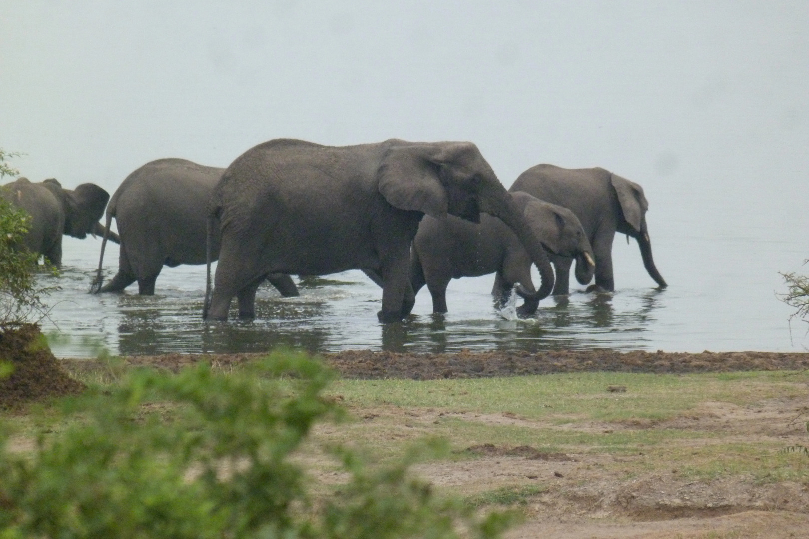 Отель TJ Global Kasese