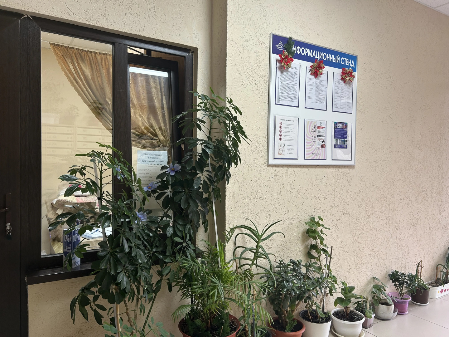 Апартаменты Сеть SimSim