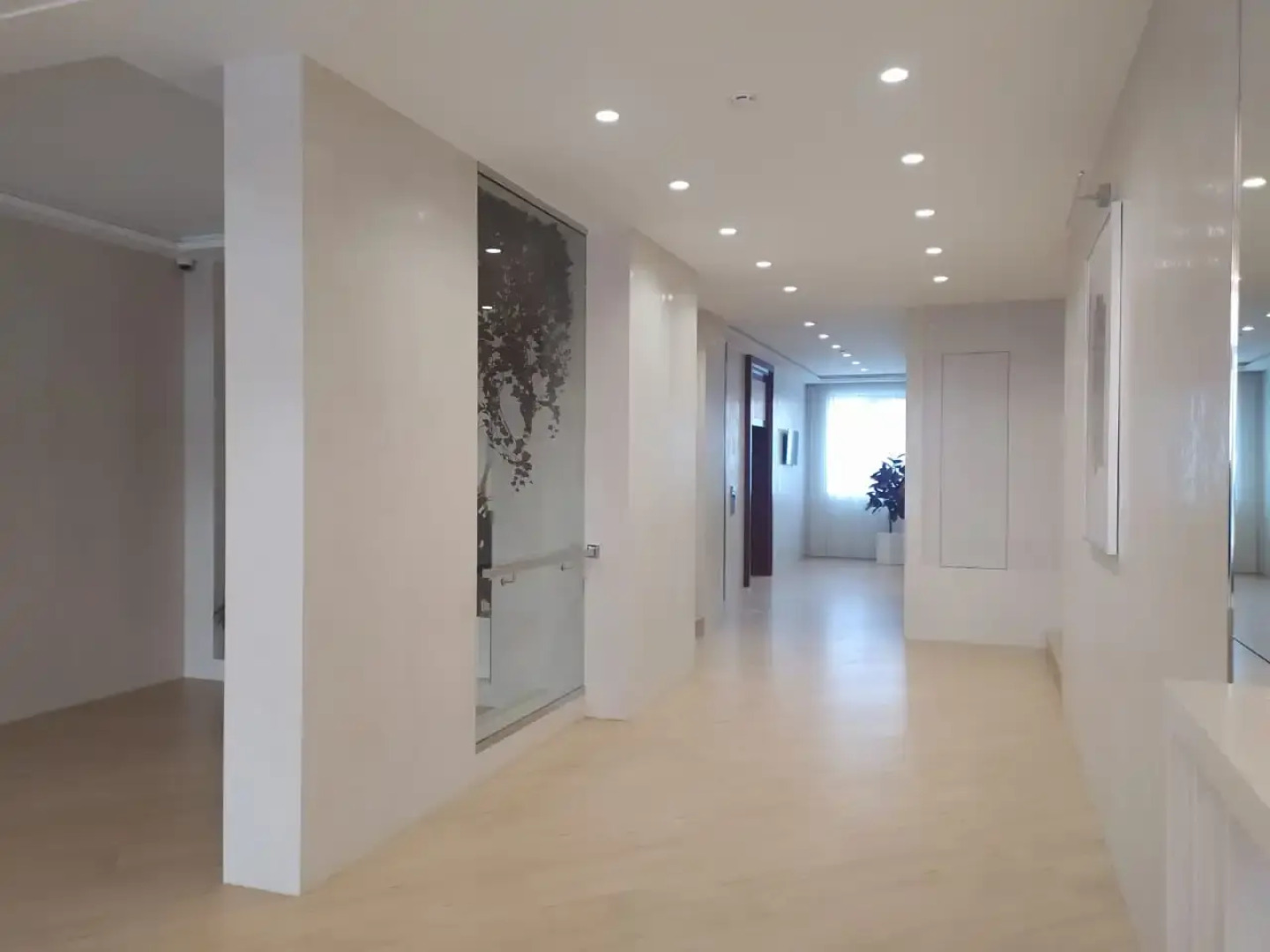 Апартаменты Студия на Державина 50