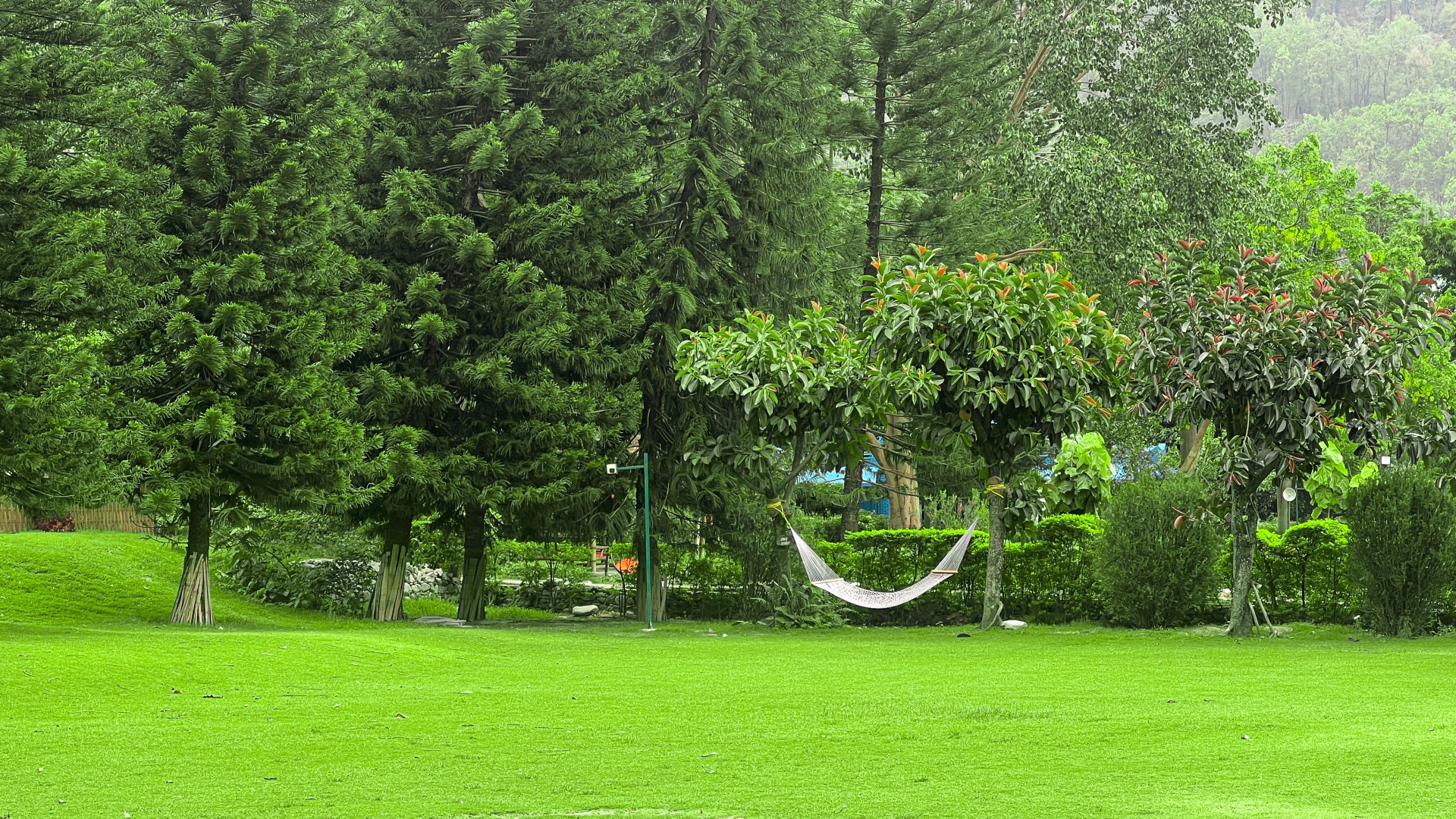 Отель The Solluna