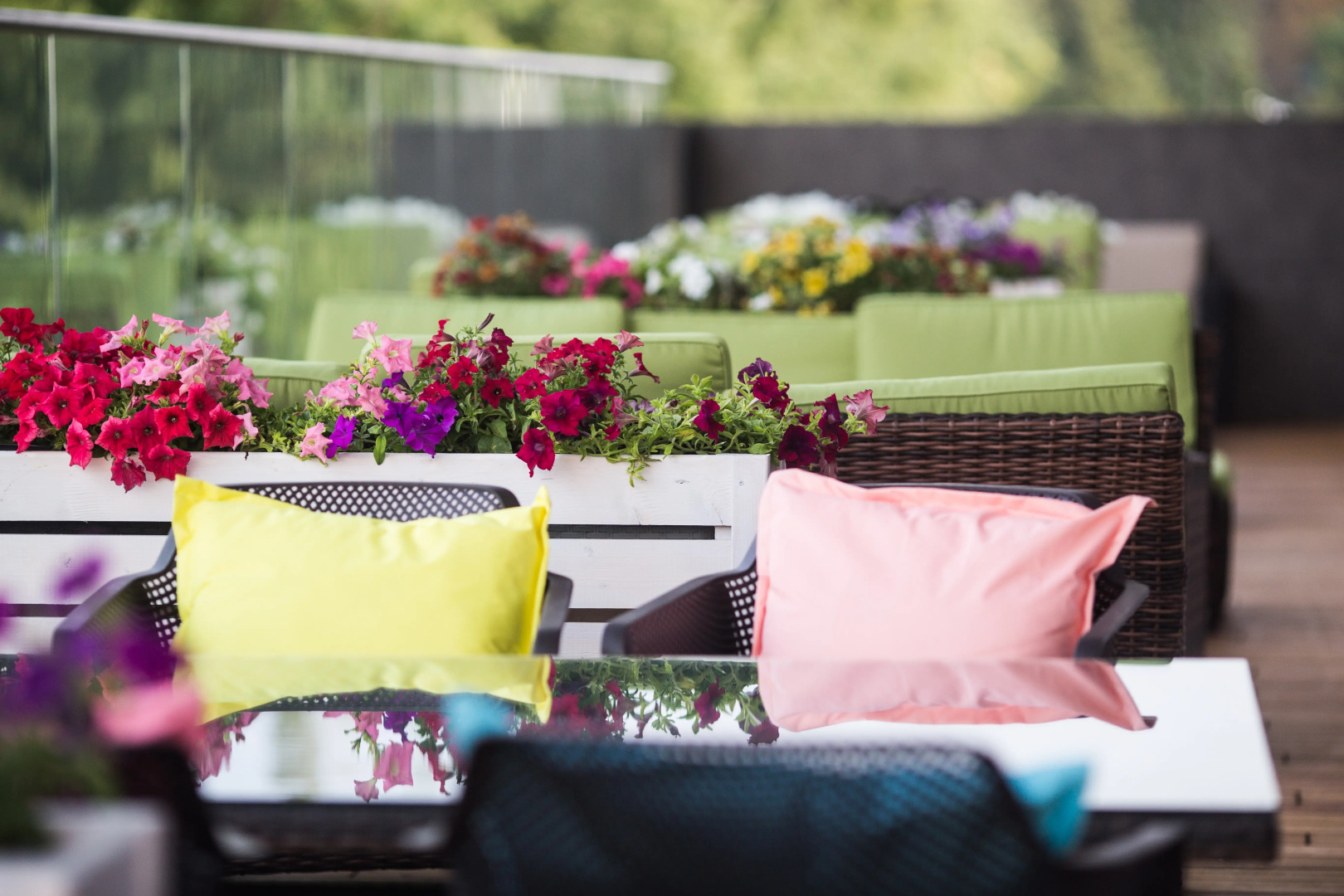 Отель Olimp Plaza