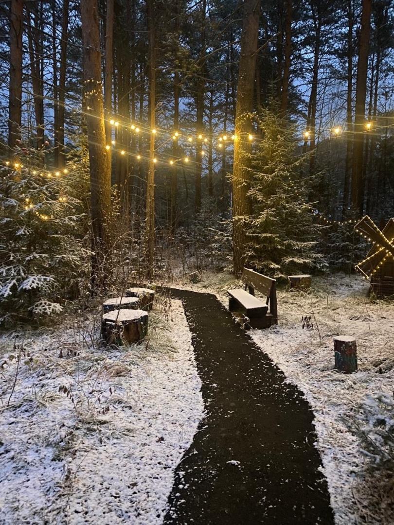 База отдыха Брусника