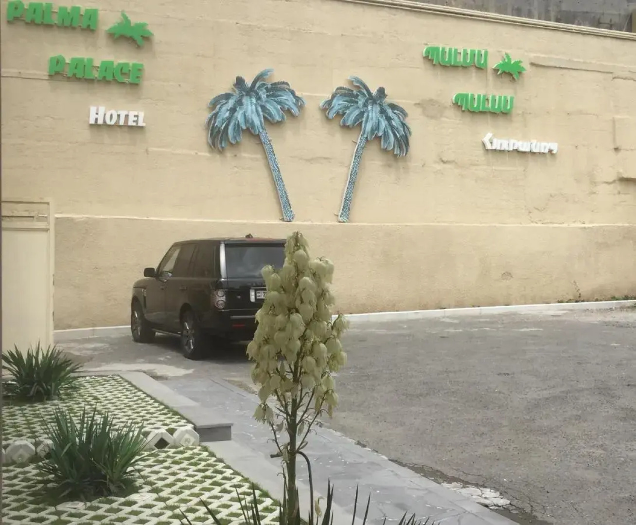 Отель Palma Palace