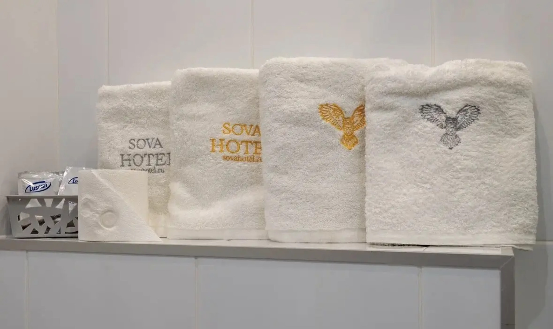 Сова на Преображенской