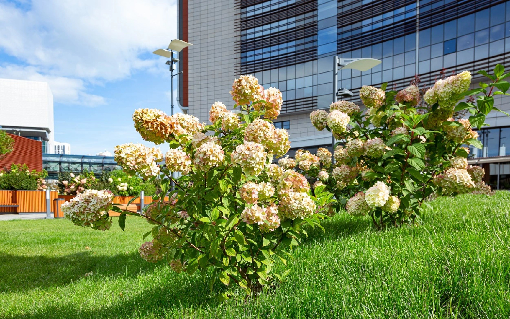 Отель Хаятт Ридженси Екатеринбург