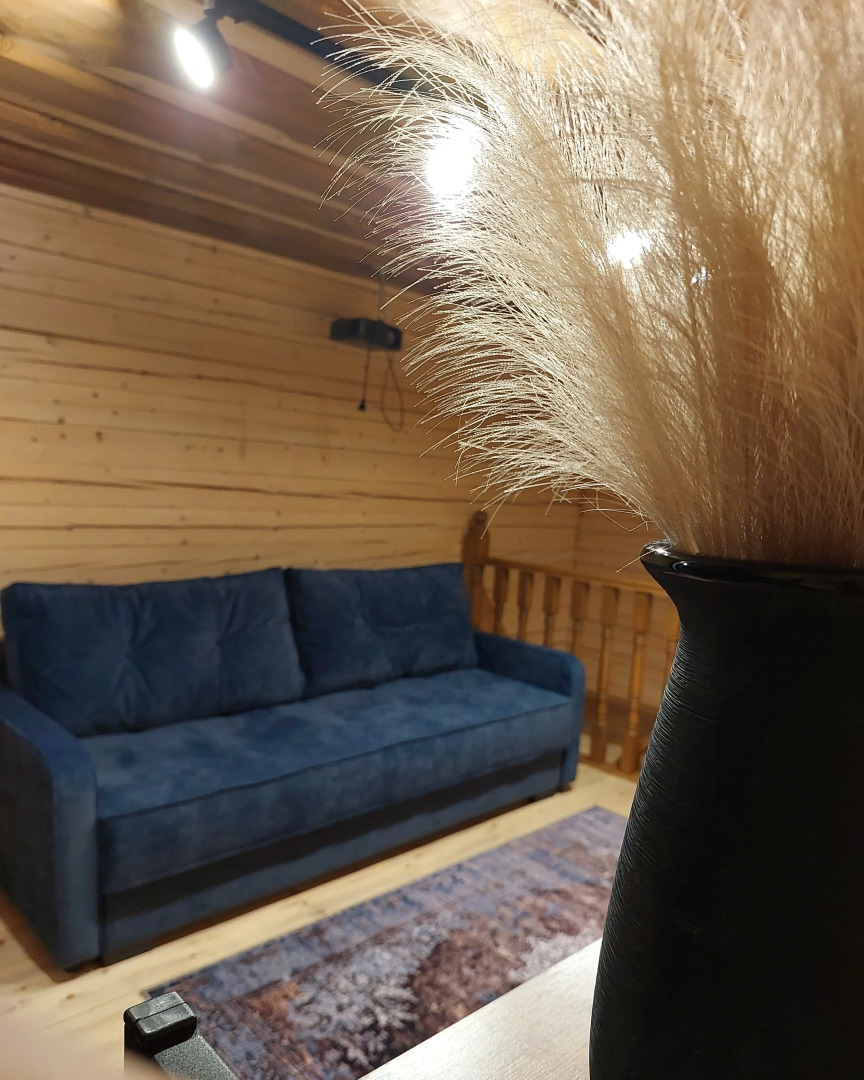 Частный дом Karpov House