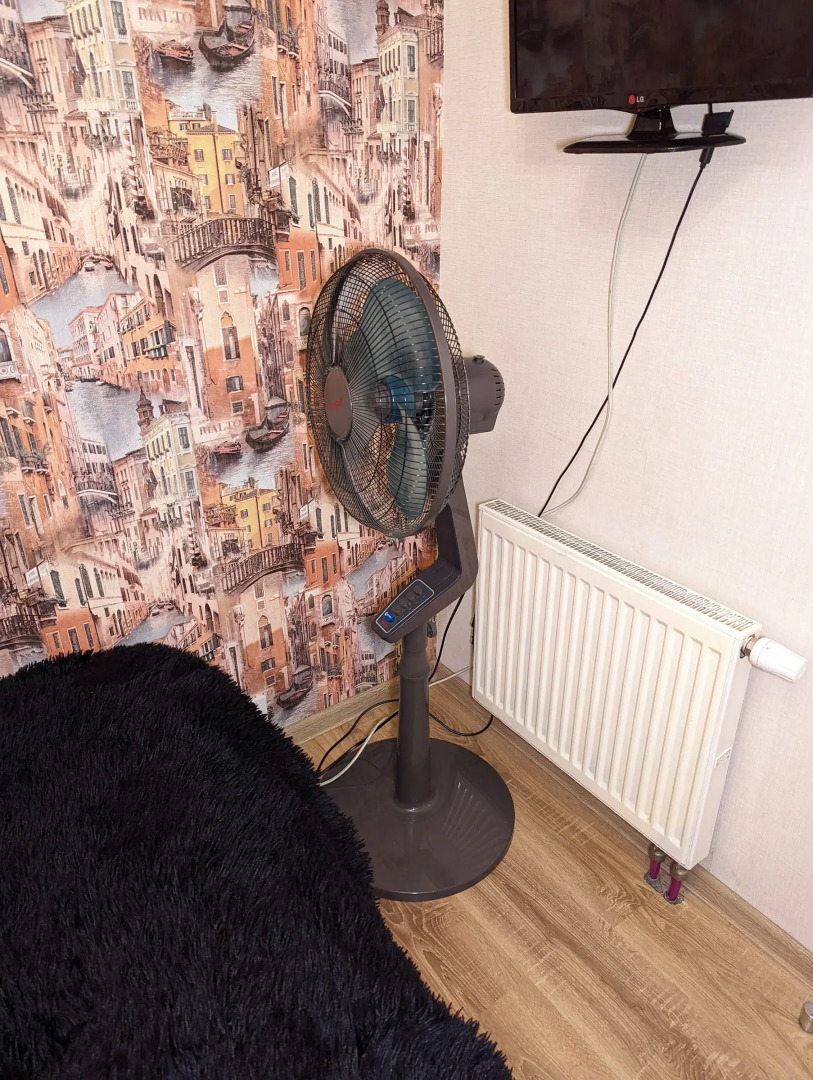 Квартира Экодомик Комната - студия 2