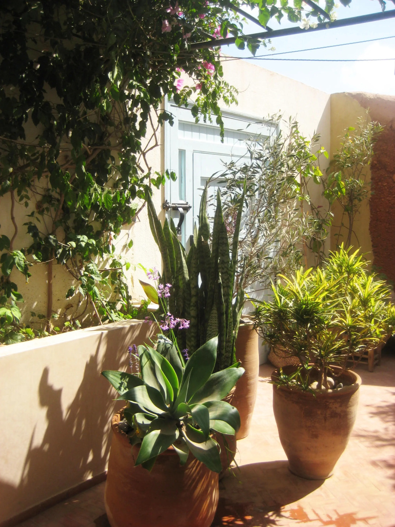 Вилла Tifawin Home & Garden