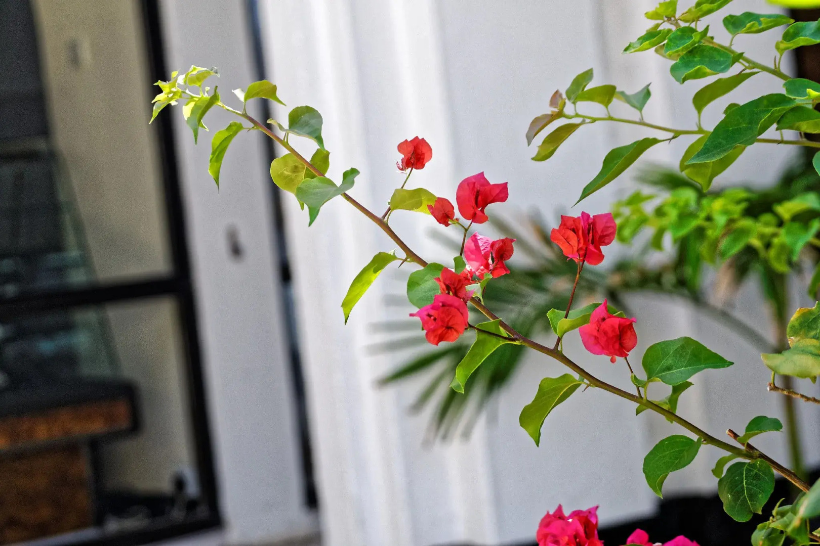 Отель Kaskazi Beach