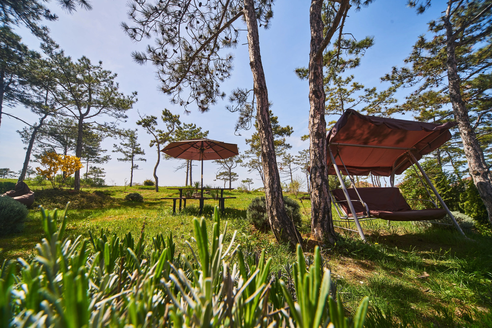 Гостевой дом Вилла Сова