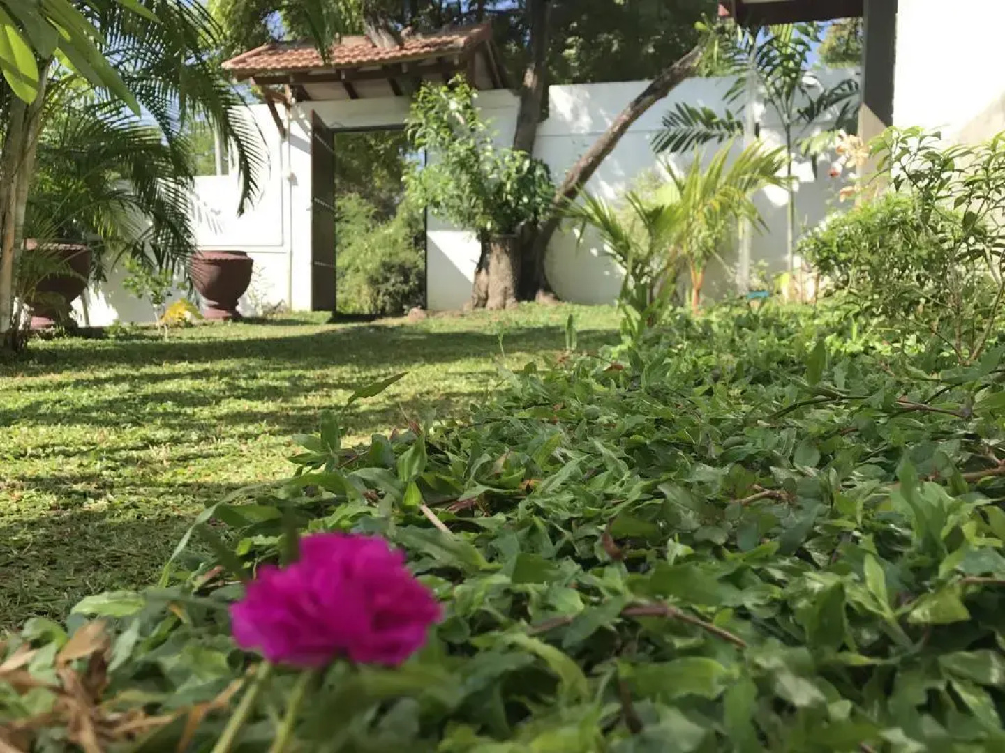 Отель Golden Wild Yala