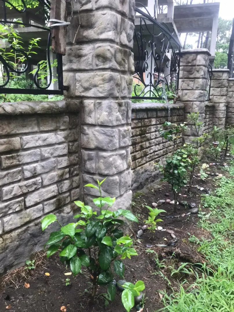 Мини-Отель Шекветили